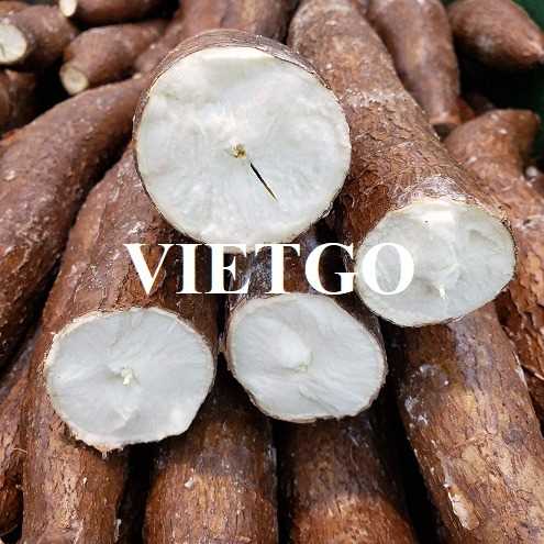 [Gấp] Cơ hội xuất khẩu sắn tươi sang thị trường Mỹ