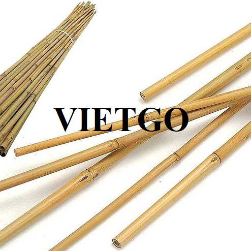 Cơ hội xuất khẩu gậy tre sang thị trường Tây Ban Nha