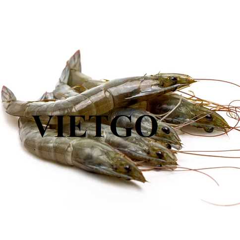 Cơ hội xuất khẩu tôm thẻ chân trắng sang thị trường Lihuania
