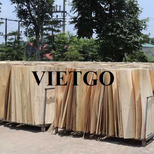 Thương vụ xuất khẩu ván bóc sang thị trường Ấn Độ