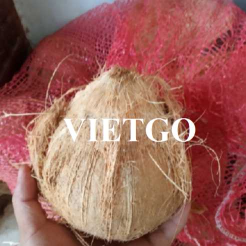 Cơ hội hợp tác xuất khẩu dừa khô lột vỏ sang thị trường UAE