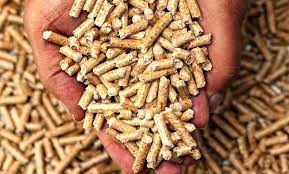 Cần tìm nhà vận chuyển viên nén, gỗ dán, gỗ xẻ đi Ấn Độ