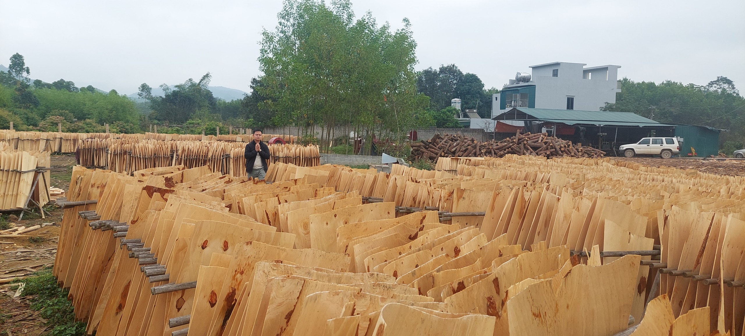 Cần đơn vị Vận tải ván bóc đi Ấn Độ