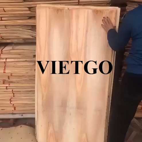 Thương vụ xuất khẩu ván bóc sang thị trường Trung Quốc 