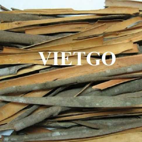 Cơ hội hợp tác với doanh nghiệp tại Ấn Độ cho đơn hàng xuất khẩu quế chẻ 