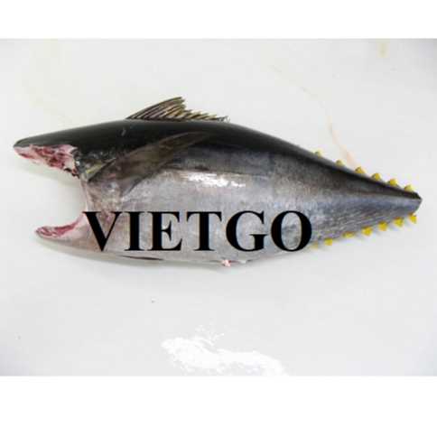Cơ hội xuất khẩu cá ngừ sang thị trường Anh