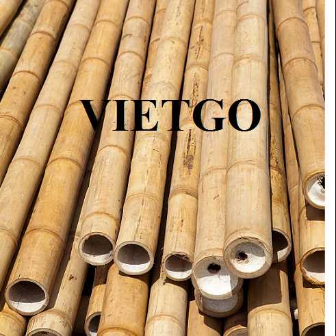 Cơ hội xuất khẩu gậy tre sang thị trường Thổ Nhĩ Kỳ