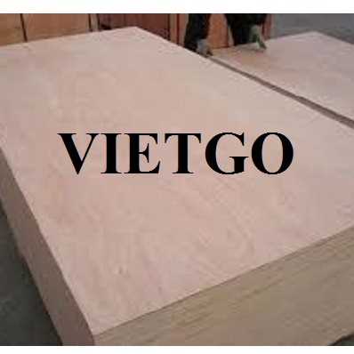 Thương vụ xuất khẩu sản phẩm gỗ dán đến thị trường Ấn Độ