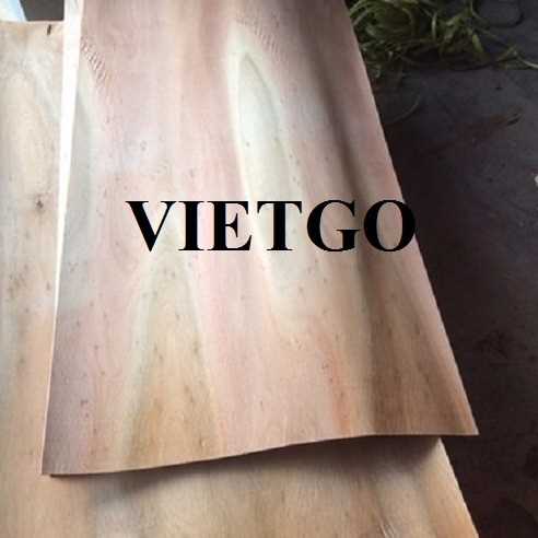 Thương vụ xuất khẩu ván bóc sang thị trường Philippines