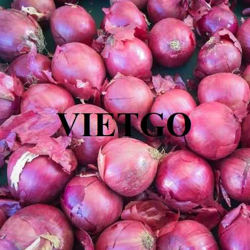 Cơ hội hợp tác xuất khẩu hành tím tới thị trường Sri Lanka