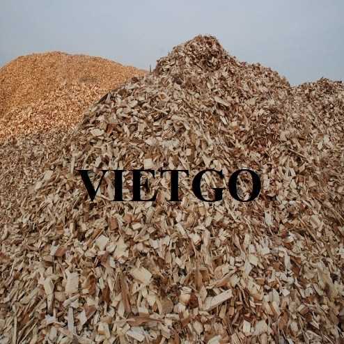 Cơ hội hợp tác xuất khẩu gỗ vụn tới thị trường Ba Lan