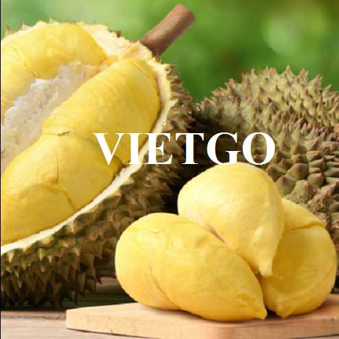 Cơ hội hợp tác xuất khẩu sầu riêng đầy hấp dẫn đến từ vị khách hàng người Thổ Nhĩ Kỳ