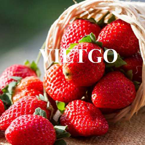 Cơ hội hợp tác xuất khẩu dâu tây tới thị trường Oman  