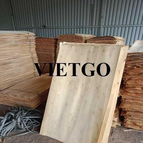 Thương vụ xuất khẩu ván bóc sang thị trường Ấn Độ
