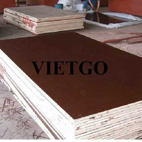 Cơ hội xuất khẩu gỗ dán phủ phim sang thị trường Thổ Nhĩ Kỳ