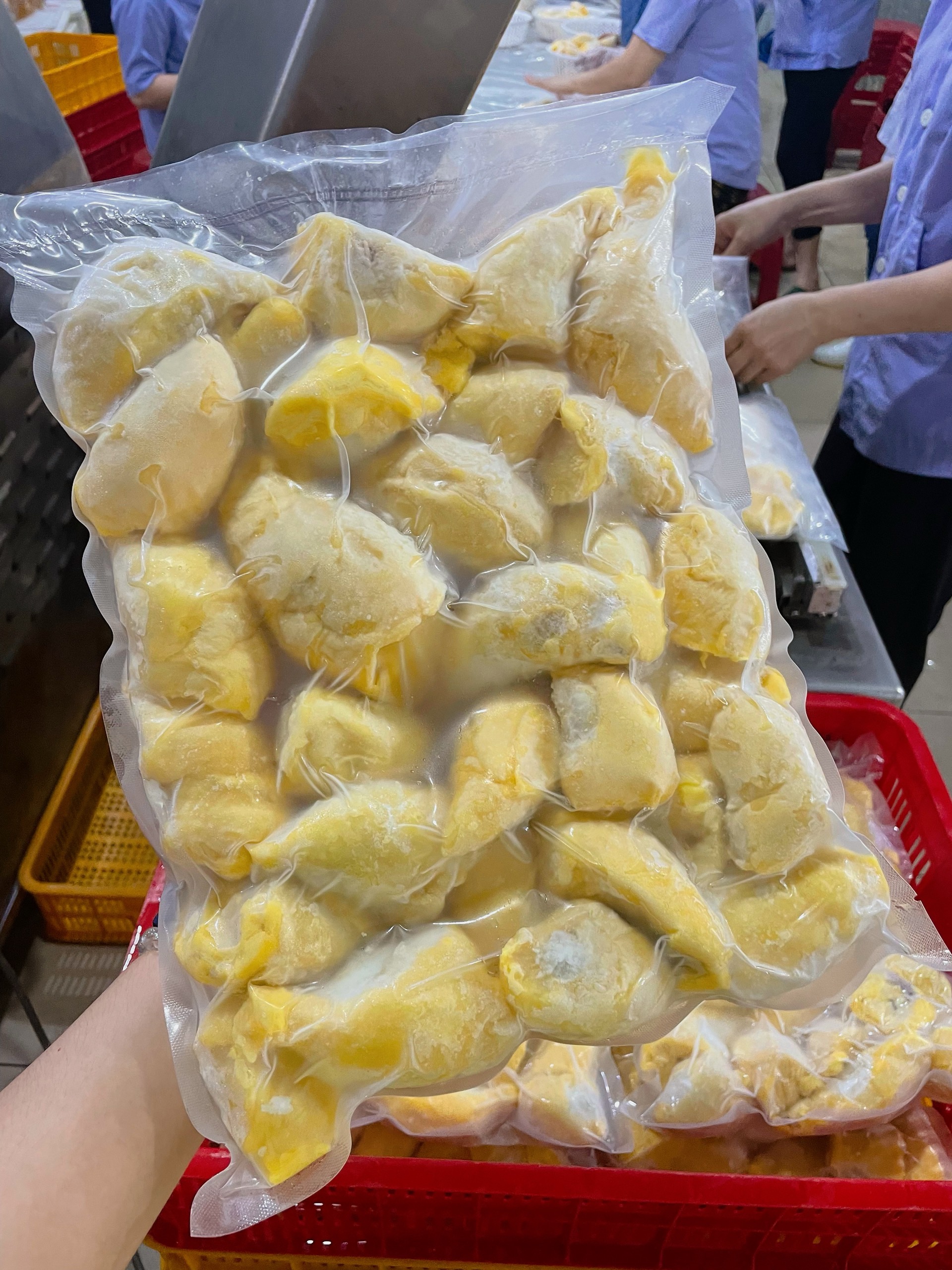 cần tìm đơn vị vận tải sản phẩm Sầu riêng 