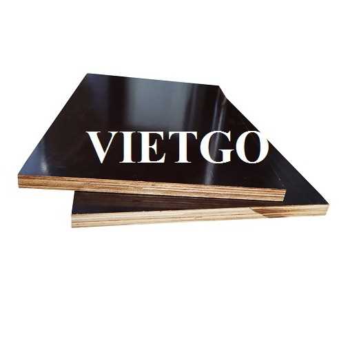Thương vụ xuất khẩu gỗ dán phủ phim sang thị trường Ấn Độ 
