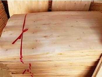 Cần tìm đơn vị vận tải vận chuyển mặt hàng ván bóc đi Ấn Độ