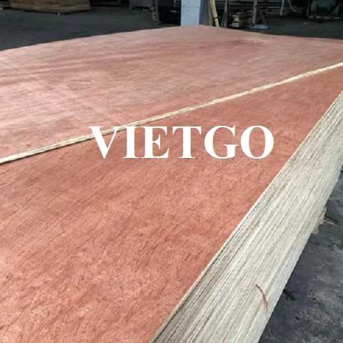 Thương vụ xuất khẩu sản phẩm gỗ dán sang thị trường Ấn Độ