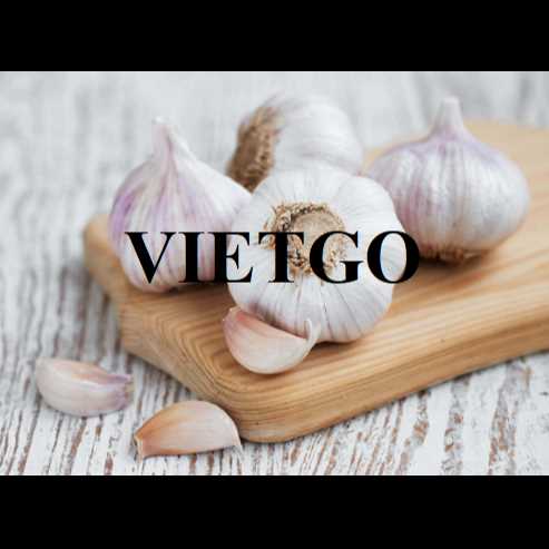 Cơ hội hợp tác với doanh nghiệp tại Ấn Độ cho đơn hàng xuất khẩu tỏi