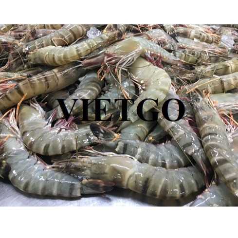 Cơ hội hợp tác xuất khẩu tôm sang thị trường Ai Cập