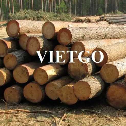 Thương vụ xuất khẩu gỗ thông tròn sang thị trường Oman