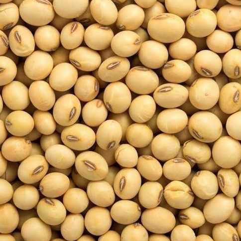 i 'm looking for Soybean
