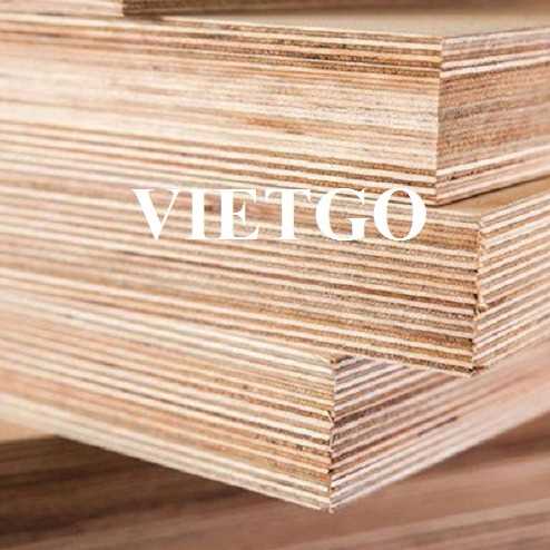 Thương vụ xuất khẩu gỗ dán sang thị trường Ấn Độ