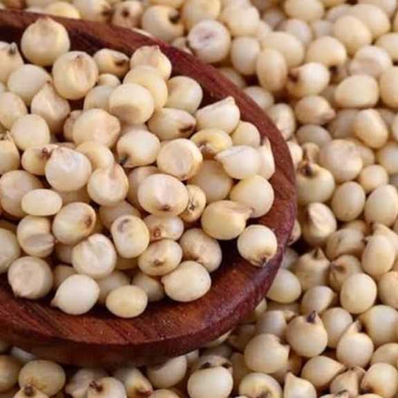 i'm looking for Sorghum 