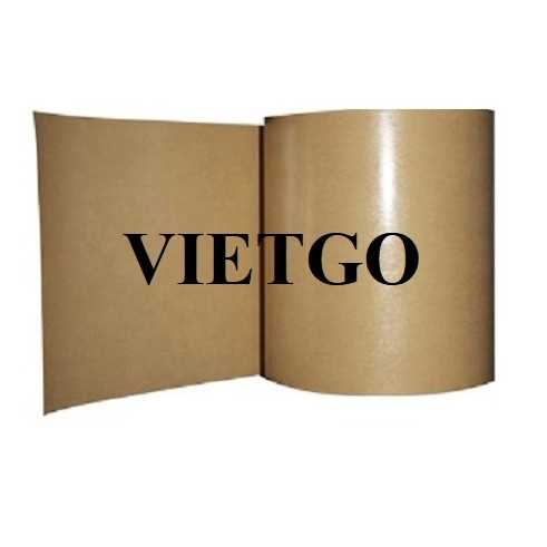 Thương vụ xuất khẩu giấy cuộn in và cuộn giấy kraft sang thị trường Ai Cập