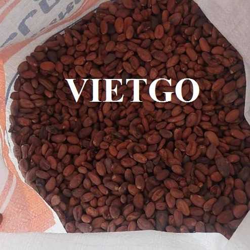 Cơ hội xuất khẩu hạt ca cao lên men cho một thương nhân người Malaysia 