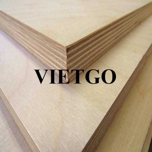 Thương vụ xuất khẩu gỗ dán đến thị trường Ấn Độ
