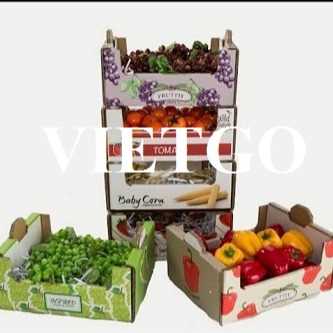 Thương vụ xuất khẩu thùng giấy sang thị trường Oman