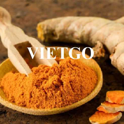 Cơ hội hợp tác xuất khẩu bột nghệ đến thị trường UAE và Pakistan 