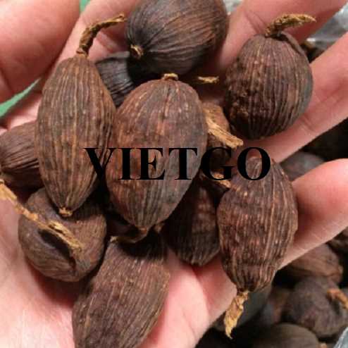 Cơ hội hợp tác xuất khẩu thảo quả đến thị trường UAE 