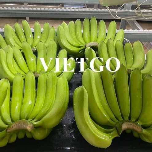 [Gấp] Cơ hội xuất khẩu chuối sang thị trường Nga