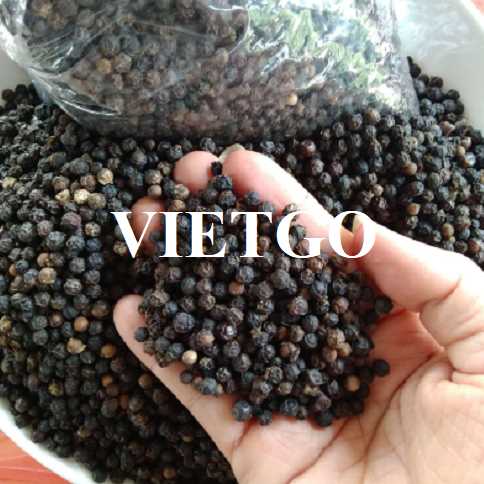 Cơ hội hợp tác xuất khẩu hạt tiêu đen đến thị trường Croatia