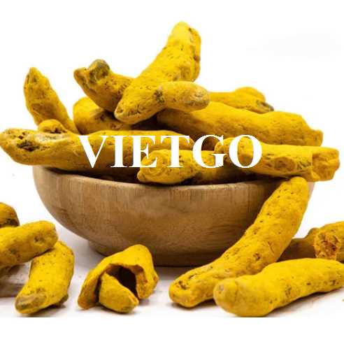 Cơ hội cung cấp nghệ khô sang thị trường Iran và Ấn Độ