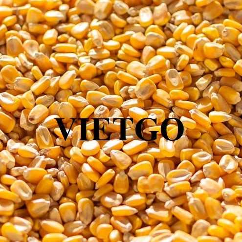 Cơ hội hợp tác xuất khẩu ngô sang thị trường Đài Loan 