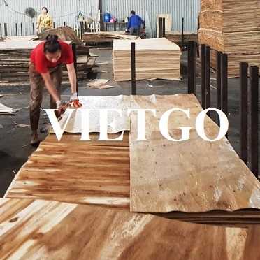 Thương vụ xuất khẩu ván bóc sang thị trường Ấn Độ