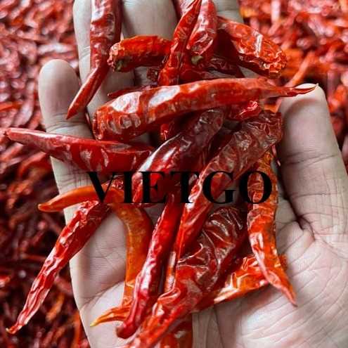 Thương vụ hợp tác xuất khẩu sản phẩm ớt sang thị trường Ấn Độ