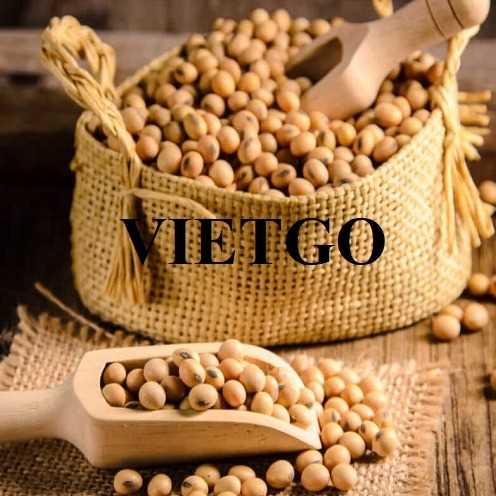 Cơ hội xuất khẩu đậu nành sang thị trường Trung Quốc và Hàn Quốc