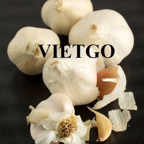 Cơ hội hợp tác xuất khẩu tỏi trắng đến thị trường Thổ Nhĩ Kỳ 