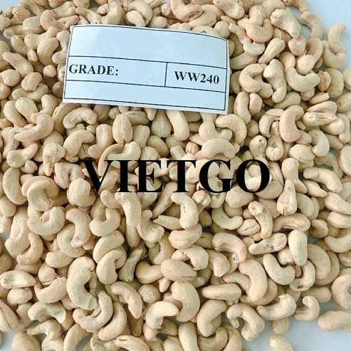 Thương vụ hợp tác xuất khẩu sản phẩm hạt điều nhân trắng W320, W240 sang thị trường Nga
