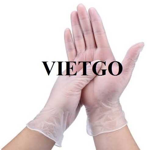 Cơ hội xuất khẩu găng tay cao su tới Hoa Kỳ