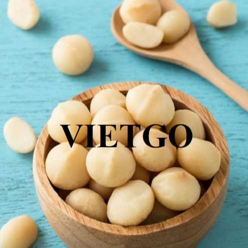 Cơ hội hợp tác xuất khẩu hạt macca sang thị trường Thổ Nhĩ Kỳ
