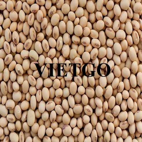 Cơ hội xuất khẩu đậu nành sang thị trường Hàn Quốc