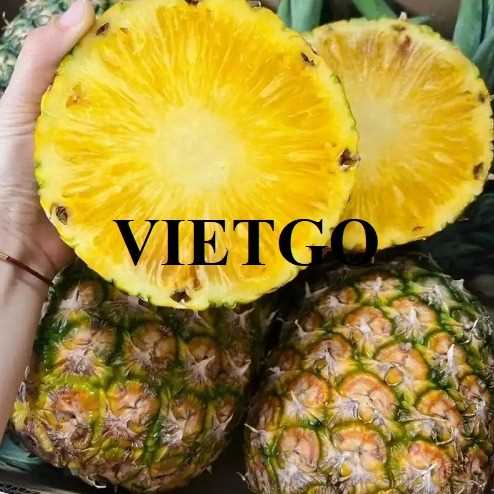 Thương vụ xuất khẩu sản phẩm dứa đến thị trường Oman