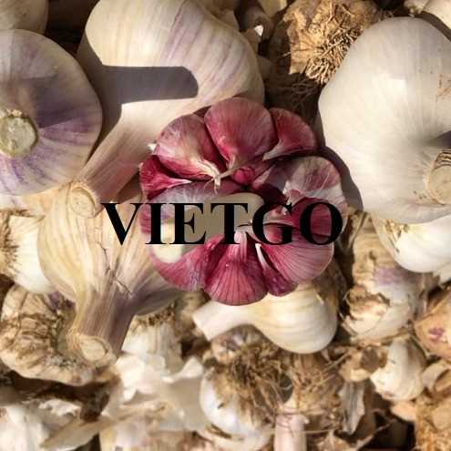 Thương vụ xuất khẩu sản phẩm tỏi trắng sang thị trường Ấn Độ