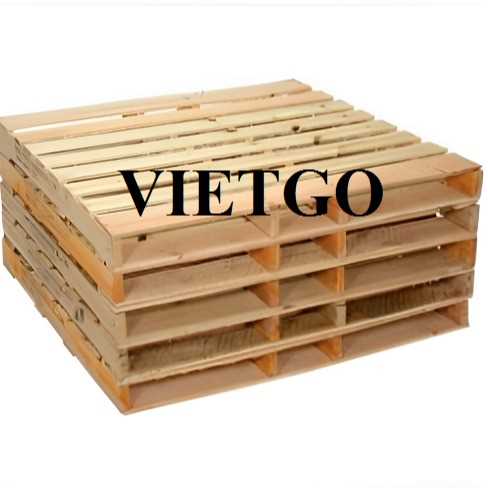 Thương vụ xuất khẩu pallet gỗ đến thị trường Ấn Độ